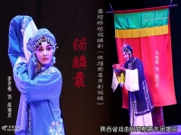 秦腔李君梅簡介(秦腔李君梅簡介視頻)