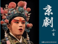京劇的代表作是什么(京劇的代表劇目是什么)