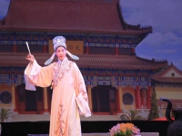 錫劇老電影雙珠鳳全劇(錫劇老電影雙珠鳳全劇演員表)