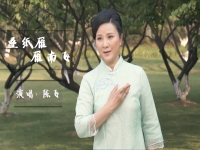 越劇演員陳飛女兒叫什么(越劇名家 陳飛越劇經典唱段欣賞)