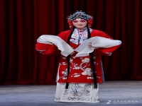 傳統京劇有六月雪嗎(京劇六月雪沒來由曲譜)