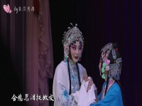 京劇演員褚灃怡(京劇演員褚灃怡唱戲視頻)