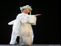 吳鳳花越劇選段(越劇演員吳鳳花唱段集錦)