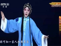 淮劇趙五娘尋夫(淮劇趙五娘尋夫唱詞)