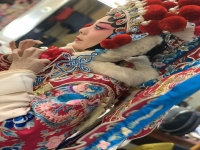 國(guó)家京劇院刀馬旦演員(京劇刀馬旦動(dòng)作教學(xué)視頻)