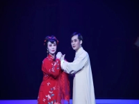 淮劇牙痕記全集陳德林第三場的簡單介紹