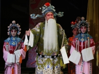 山西戲曲有哪些(山西戲曲有哪些,并且做介紹)
