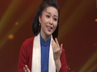 黃梅戲演員袁媛簡介(黃梅戲演員袁媛簡介 老公)