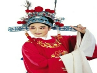 黃梅戲女駙馬原型(黃梅戲女駙馬什么故事)
