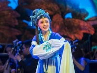 越劇昭君出塞王濱梅(越劇昭君出塞王濱梅簡介)