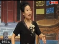 胡銀花的長篇墜子(胡銀花的長篇墜子書)