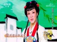 九斤姑娘越劇全集3集(九斤姑娘越劇全集第一集九斤好)