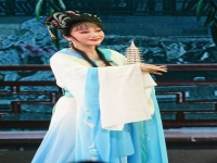 錫劇電影珍珠塔1983年版(錫劇電影珍珠塔1983年版演員表)
