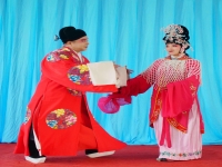 戲曲武安平調(diào)全場戲(戲曲武安平調(diào)全場戲武安落子抱令牌)
