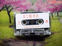 墜子劉瑞蓮大全(墜子皇后劉瑞連視頻)