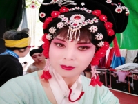 魏俊英的唱段豫劇(魏俊英的唱段豫劇五世請纓)