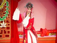 樊婷婷越劇演員(樊婷婷越劇演員丈夫)