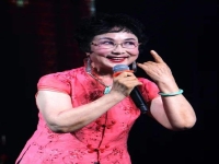 豫劇電影《抬花轎》王清芬(豫劇電影抬花轎王清芬演員表)