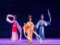 黃梅戲天仙配片段(黃梅戲天仙配視頻)