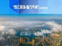 平南牛歌戲劇(平南牛歌戲全部戲劇)