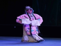 孫秀蘭河北梆子見皇姑(孫秀蘭唱了河北梆子見皇姑)