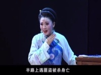 合集42個視頻黃梅戲(合集42個視頻黃梅戲全集)