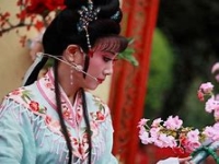 石慧蘭越劇演員(越劇石燕飛個人資料)