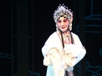 河南豫劇悲情戲大全(豫劇名家名段經(jīng)典唱段悲情)
