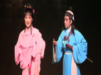 黃梅戲是哪個省份的戲(黃梅戲是哪個省份的戲曲)