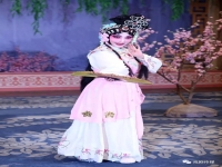 越劇啞女告狀全劇(越劇啞女告狀全劇完整版)
