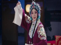 廬劇王三姐拋繡球(廬劇王三姐挑菜武道芳)