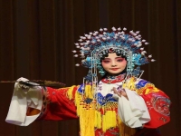 京劇貴妃醉酒全劇(京劇貴妃醉酒全劇播放)