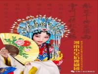 河南豫劇作文(河南豫劇作文500字六年級)
