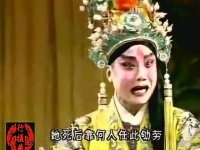 秦腔花亭相會聽罷言來問罷訊(秦腔花亭相會聽罷言來問罷訊唱詞)