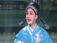 黃梅戲謝軍的老婆(黃梅戲演員謝軍演唱的黃梅戲)