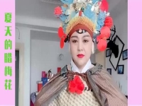 花槍緣豫劇全集馬金鳳唱全場(豫劇老電影,花槍緣,馬金鳳主演)