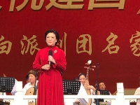 王云珠個人評劇演唱會(評劇王云珠個人演唱會上)