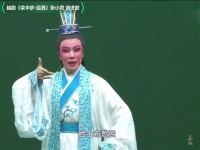 小百花越劇團團長(小百花越劇團團長是誰演的)