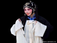 蘭文云最全京劇唱段合集(京劇名家蘭文云為什么不能唱戲了)