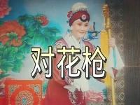 馬金鳳演唱豫劇對花槍(馬金鳳豫劇對花槍經典唱段)