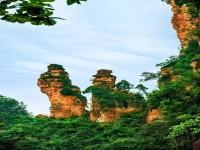 包含張家界的什么是張家界永定區(qū)地方傳統(tǒng)戲劇的詞條