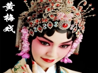 好聽戲曲大全視頻(最好聽的戲曲十大唱段)
