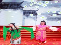 黃梅戲演員趙媛媛簡介(黃梅戲趙媛媛富貴圖全場)