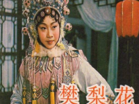 樊梨花征西豫劇(樊梨花征西豫劇劇情)