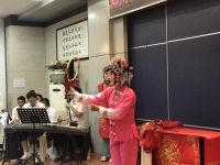 對河南豫劇的感受(對河南豫劇的感受和體會)