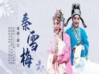 豫劇秦雪梅見天靈悲聲大放(豫劇秦雪梅見夫靈悲聲大放閻立品)