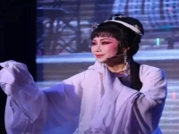 最好的民營越劇團(最好的民營越劇團有哪些)