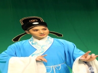 黃梅戲龍女唱段(黃梅戲龍女唱段七)