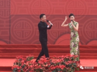 黃梅戲演員袁媛的丈夫(黃梅戲演員袁媛的丈夫叫什么名字)