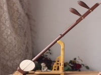 豫劇板胡王志紅(豫劇板胡獨(dú)奏公社是個(gè)向陽(yáng)花)